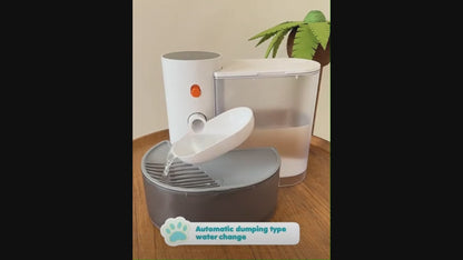 Fontaine à Eau Sans Fil pour Chat — Rechargeable, Silencieuse & Hygiène Sans Filtre